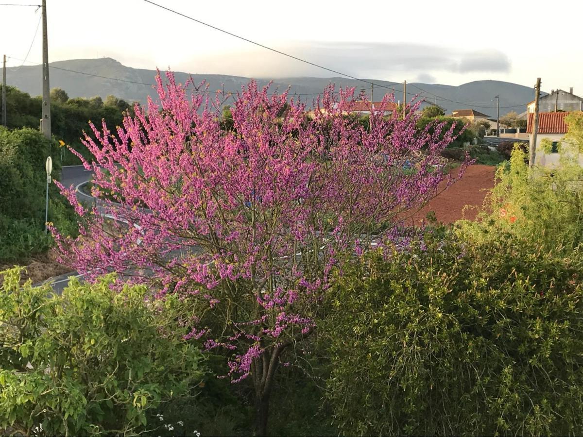 Céu sobre Montejunto Boutique B&B Cadaval Exterior foto